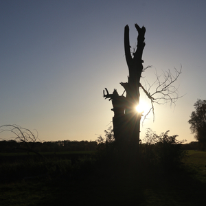 Der Rainer (Push Up, Push Up)