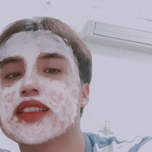 楼顶上的小斑鸠