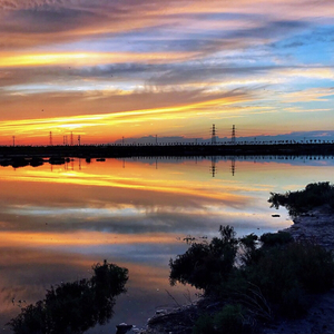 古琴成子-故宫之神思（武聆音雄 remix）