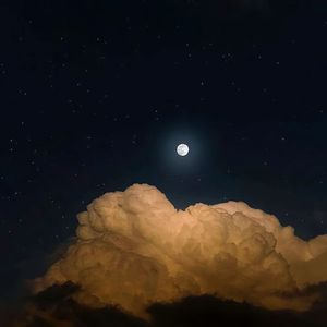 月光照亮的地方