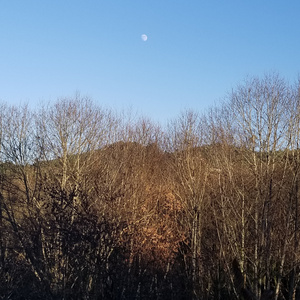 Xa neceu (Acoustic Version)