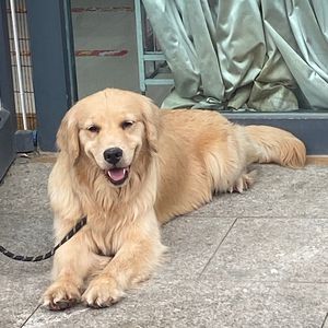 你走