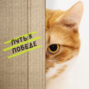 Уверенный шаг