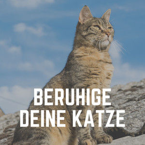 Komfort der Katze