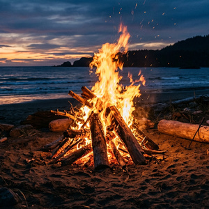 Bonfire