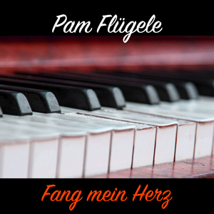 Ein Abend in Montreux