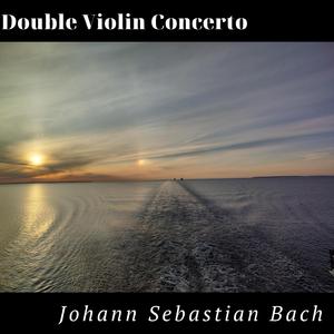 Double Violin Concerto in D minor: III. Allegro (feat. Anna Salnit & Roksana Tarvide) (Live in Rīgas Pāvila baznīca)