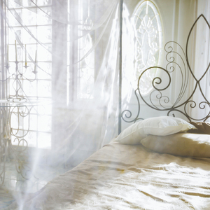 星屑スペクトル