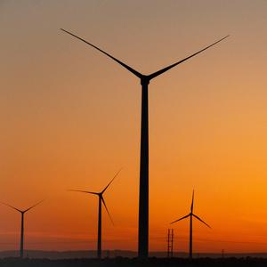 巡光（改编版2025）