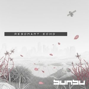 共鳴するエコー