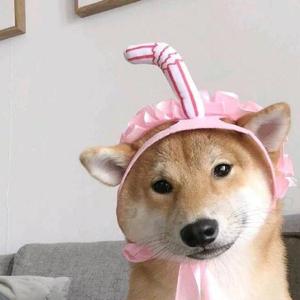 太多（翻自 阿冗）