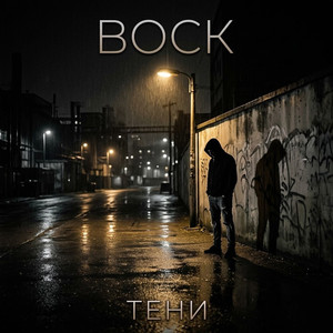 Тени