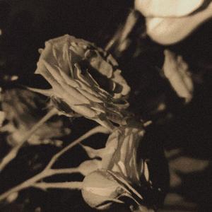 爱人（Cover：莉莉周她説）