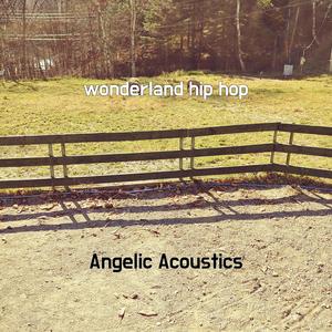 wonderland hip hop