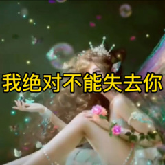 为你平定的天下