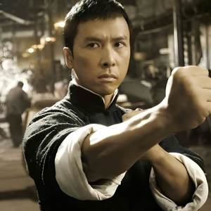 《叶问》主题配乐，二胡