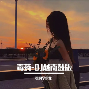 毒药-DJ越南鼓版