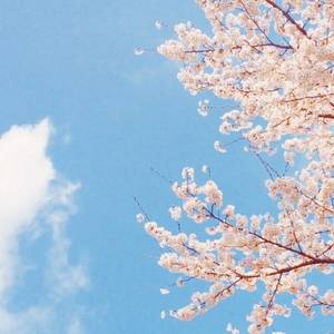 不知名的小甜歌