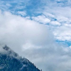 乐观的人总是那么阳光 (13)