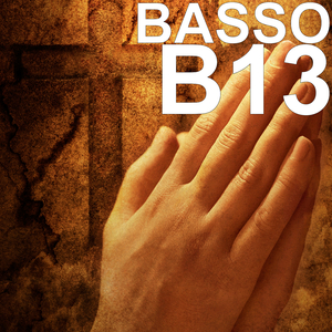 B13