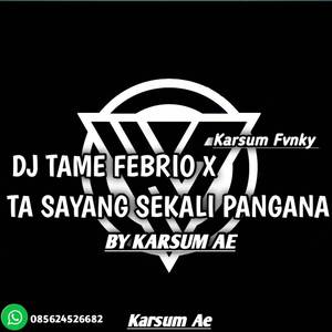DJ TAME FEBRIO X TA SAYANG SEKALI PANGANA