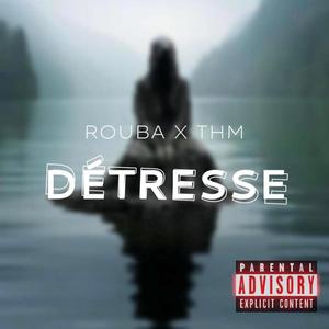 Détresse (feat. Thm)