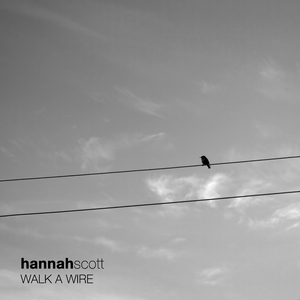 Walk a Wire (Acoustic)