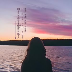 你是我想忘又不能忘记的那个人