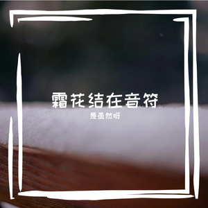 旧唱片纹路里的灰尘