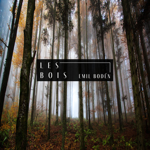 Les Bois