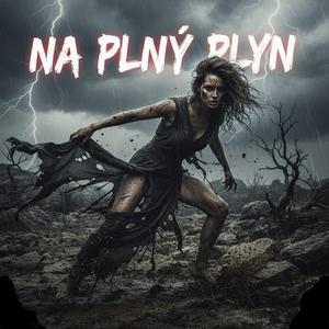 NA PLNO
