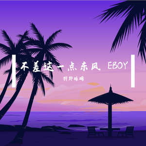 不差这一点东风 EBOY