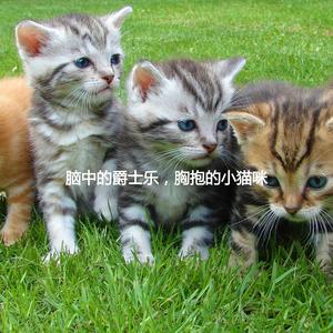 Number One Moods for Happy Cat