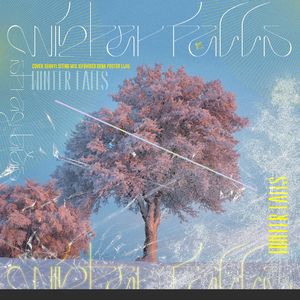 Winter Falls