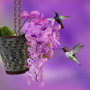 poor man(prod.老森 Sen)