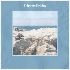Trippers Driving