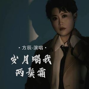 岁月赐我两鬓霜
