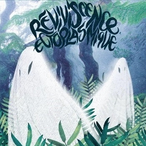 Liège Plastique Carton