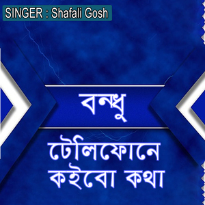 বন্ধু টেলিফোনে কইবো কথা