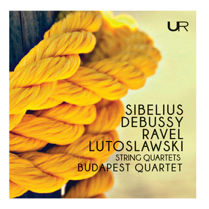 String Quartet in D Minor, Op. 56:"Voces intimae": I. Andante - Allegro molto moderato