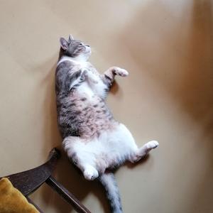 Big Stretch
