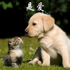 所见之日乃是终止之时