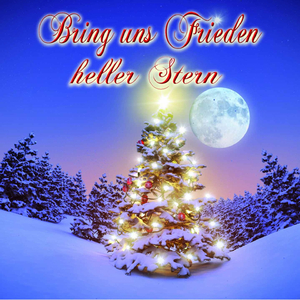 Weihnachten hinterm Deich