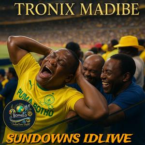 Bashayiwe (Radio Edit)