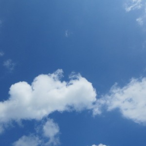 いつも君だけを見つめていた