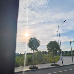 给你的最后一首歌