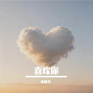 未说的喜欢