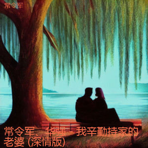 我辛勤持家的老婆 (深情版伴奏)