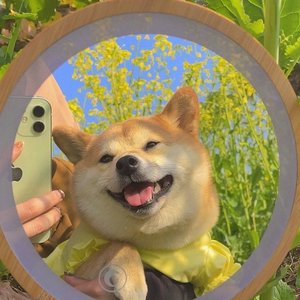 为什么难过一直在重播