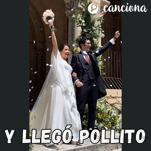 Y llegó pollito